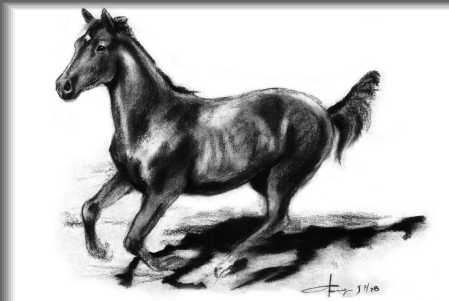 gallopierendes Pferd